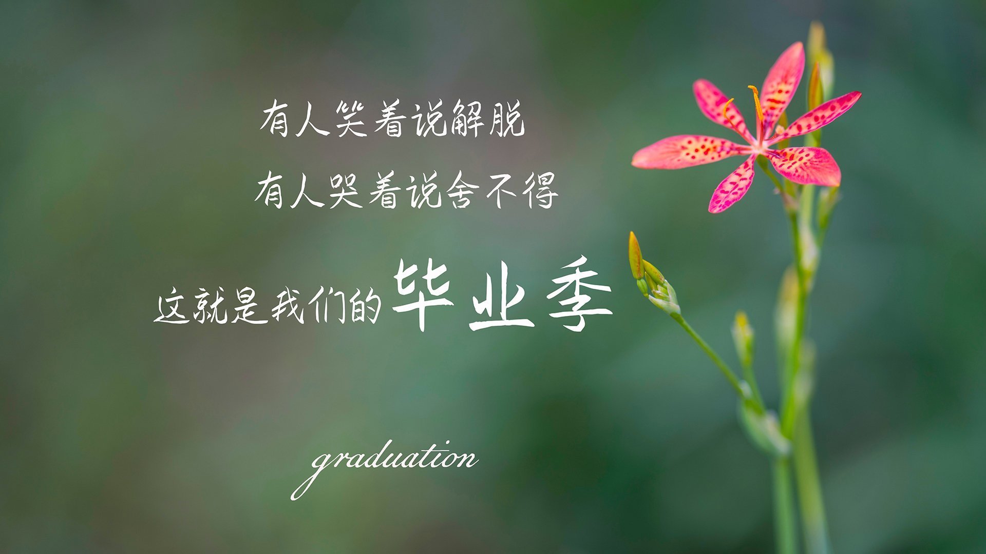 “德甲战役频繁,冠军归属悬念逐步升温”,德甲揭幕战历史战绩