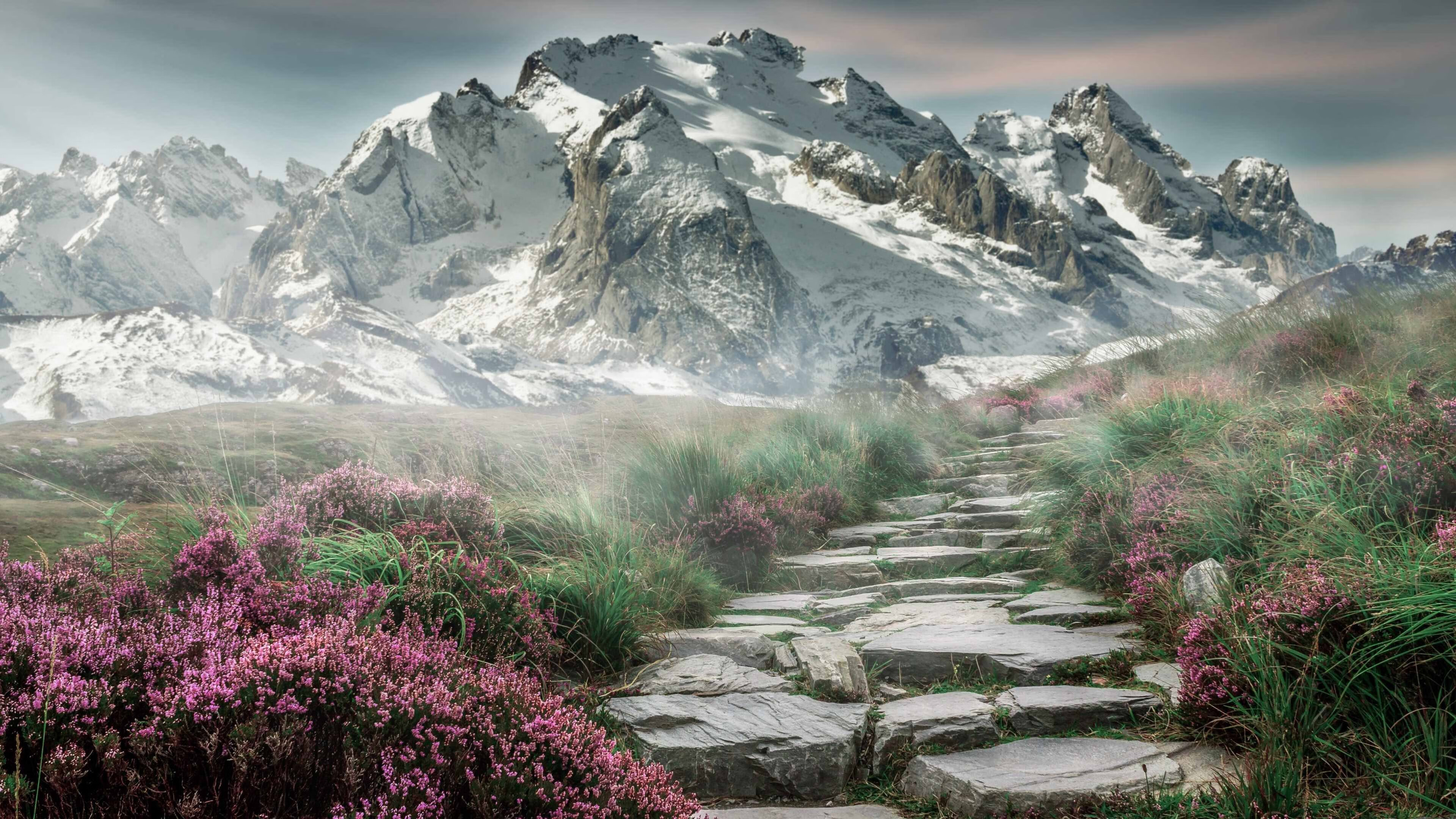 “史上最强阵容：联盟顶级阵容盘点”，联盟最强组合