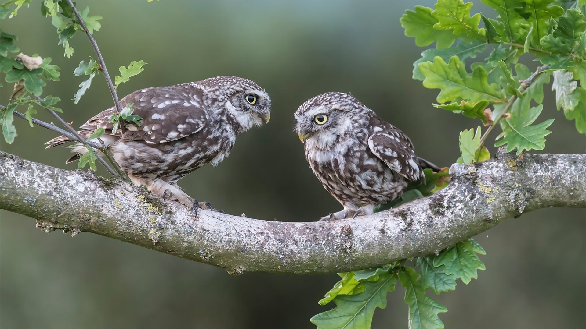 AIYOUXI.COM-《CS_GO线上邀请赛，暗战暗潮涌动》，csgo暗潮涌动怎么过