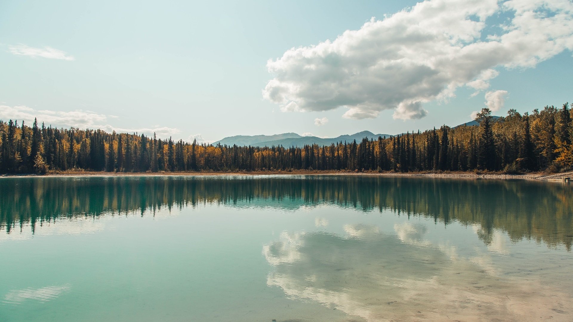 爱游戏体育APP下载-《电竞行业新规：加强青少年保护政策》，电竞游戏青少年