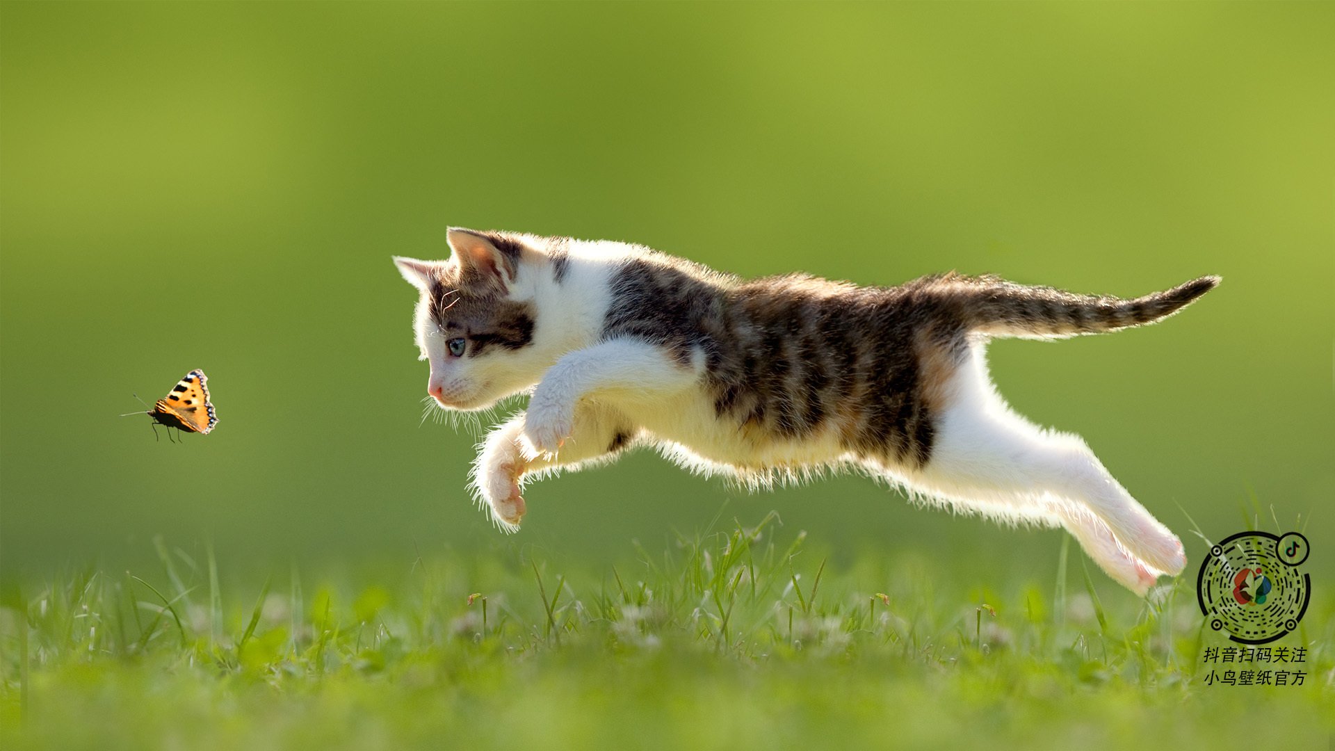 爱游戏电竞官网-【创新规则探讨】未来棒球或将引入更多高科技玩法，棒球未来社区控制性详细规划编制单位