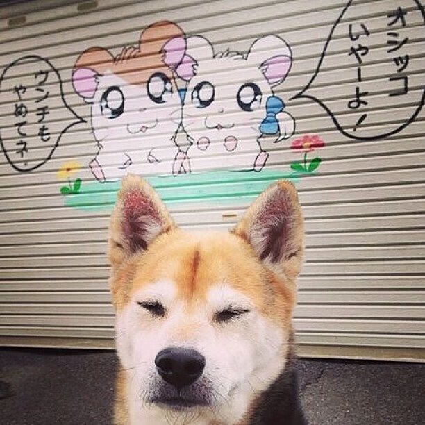 AYX体育官网-【赛事回顾】55秒爆发，球员如何扭转乾坤夺冠？，nba5秒规则