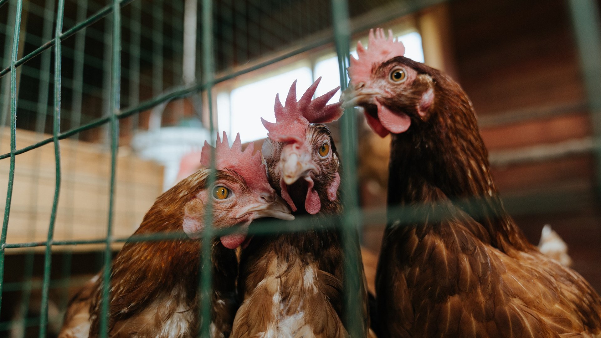 特色夜光跑比赛,燃爆城市的运动夜晚,夜光跑步