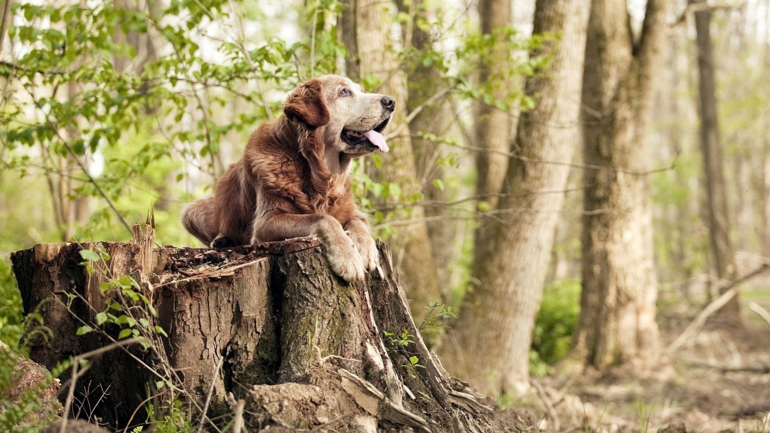 AYX体育-篮球明星公益活动提升社会责任感，篮球公益项目
