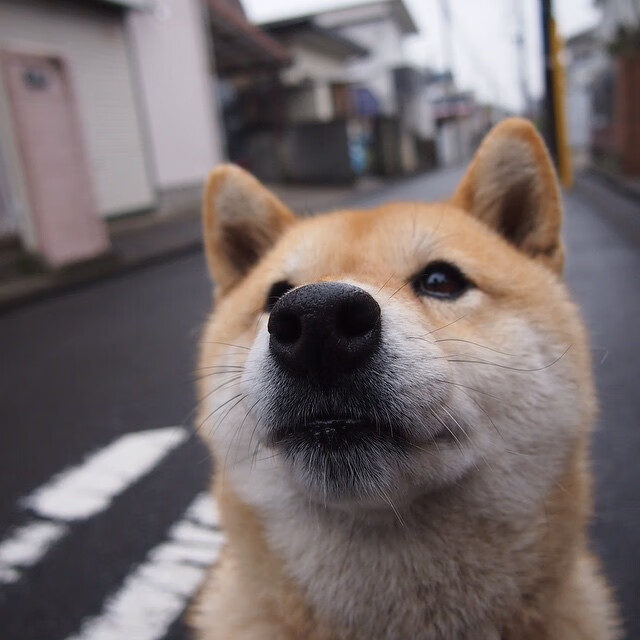 AYX官网-足球基础设施建设资金投入增加，2021建设足球场地扶持政策