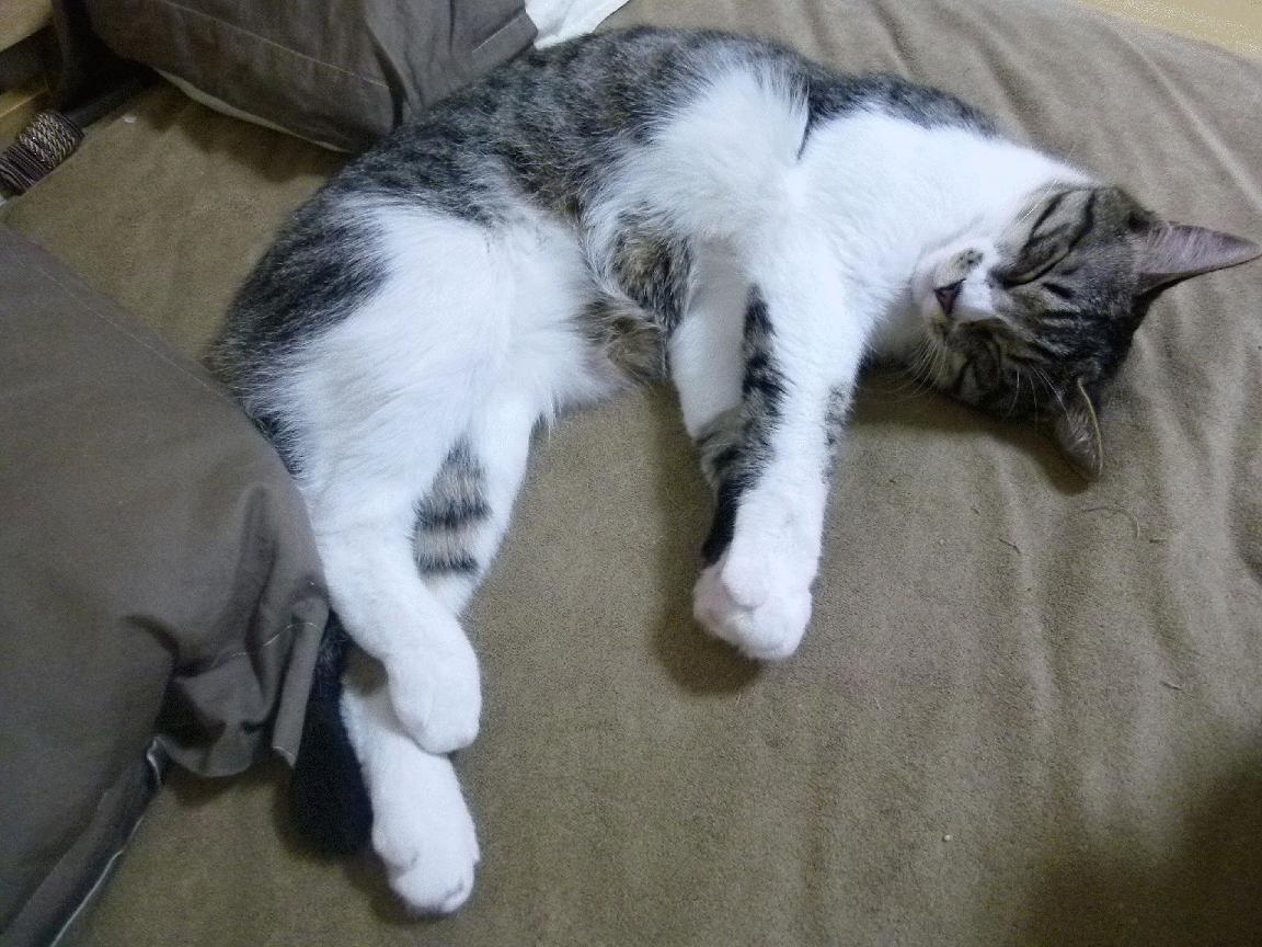 AYX GAME-青少年“竞赛新模式”在重庆正式试点，智能评判系统助力比赛公平公正