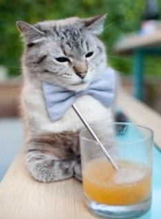 爱游戏娱乐-LEC战队Vitality启用全新战术分析团队，lecmad战队