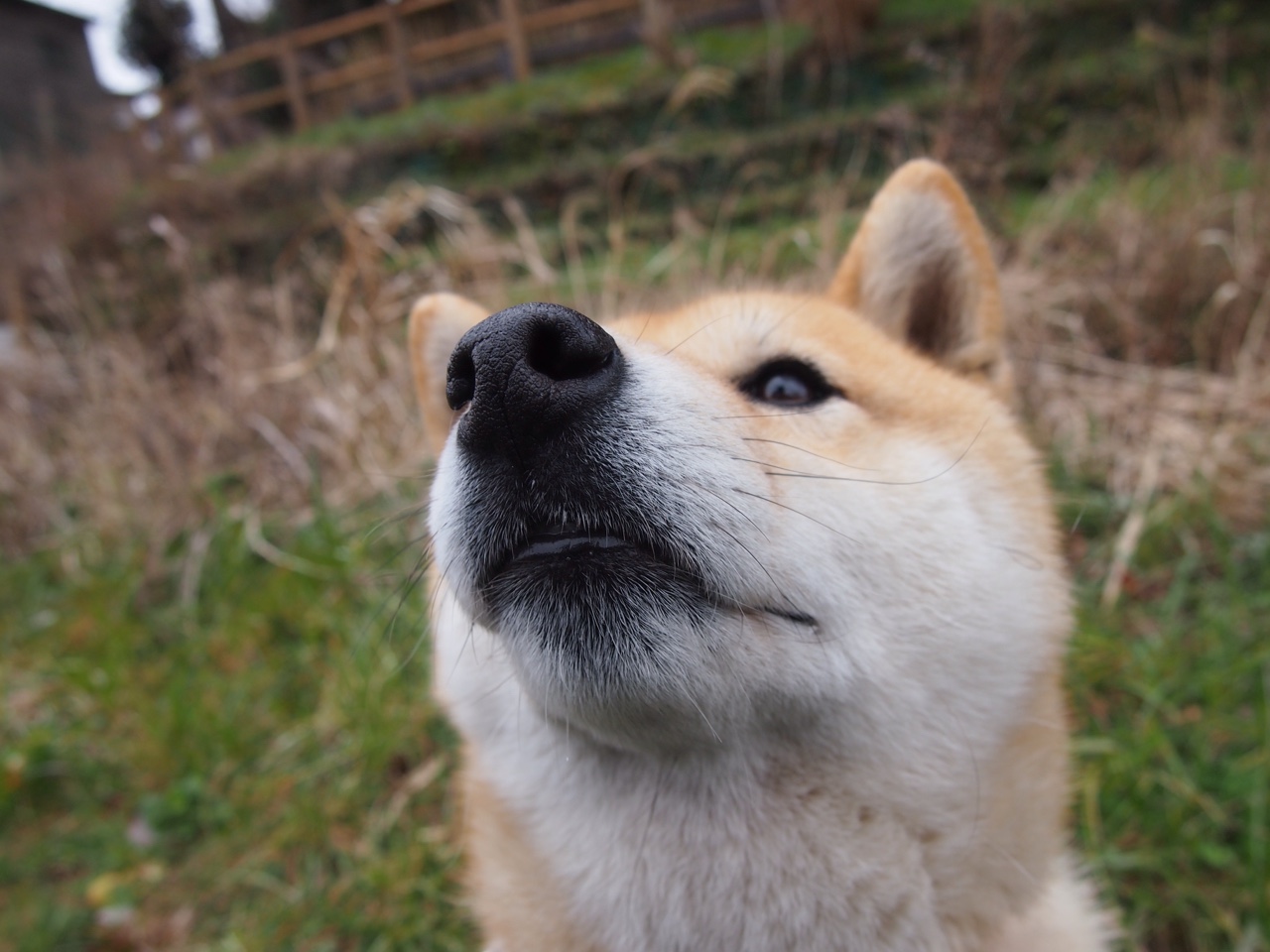 体育赛事精彩不断，足球风采炫目夺目，体育足球竞赛