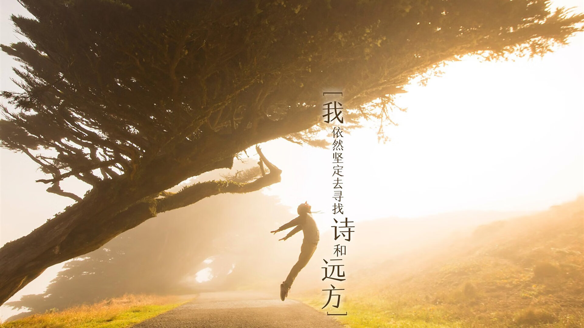 勇士队球员接受公开访问 呈现球场外风采,勇士队球员简介