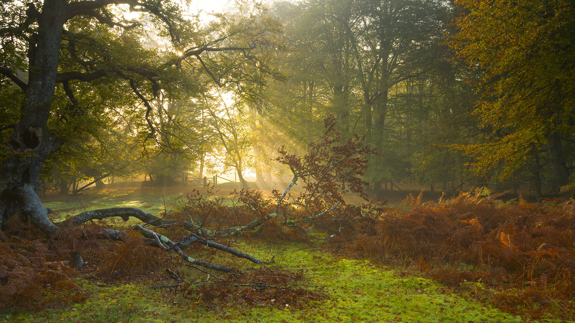 北京首钢调整战术力求突破,北京首钢近几年战绩