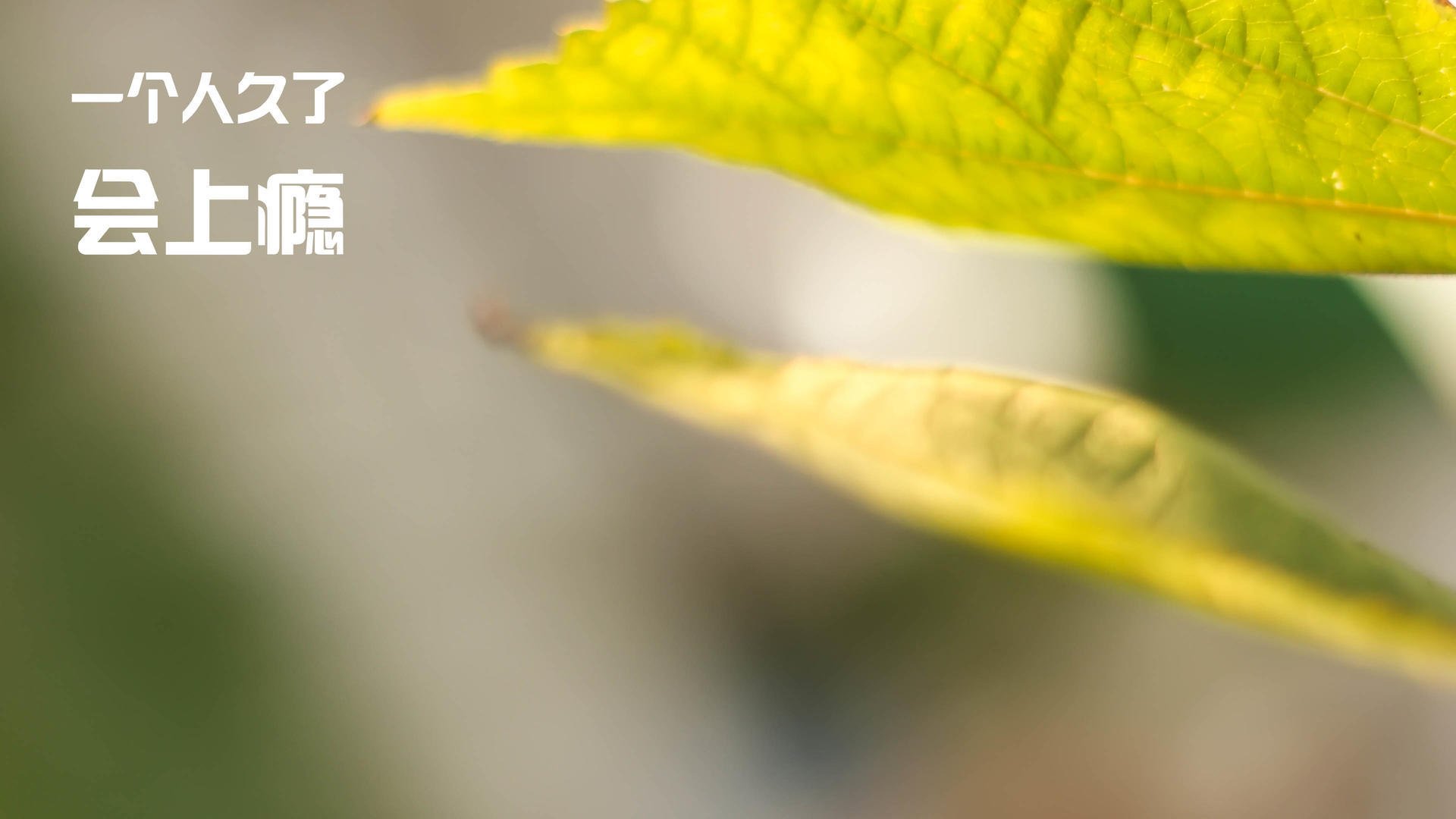 爱游戏体育-哥伦比亚反曲弓男队首次晋级奥运会，哥伦比亚弓箭女