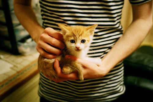 奥格斯堡队员展现出坚韧不拔的精神,以优异表现获得胜利,奥格斯堡战役