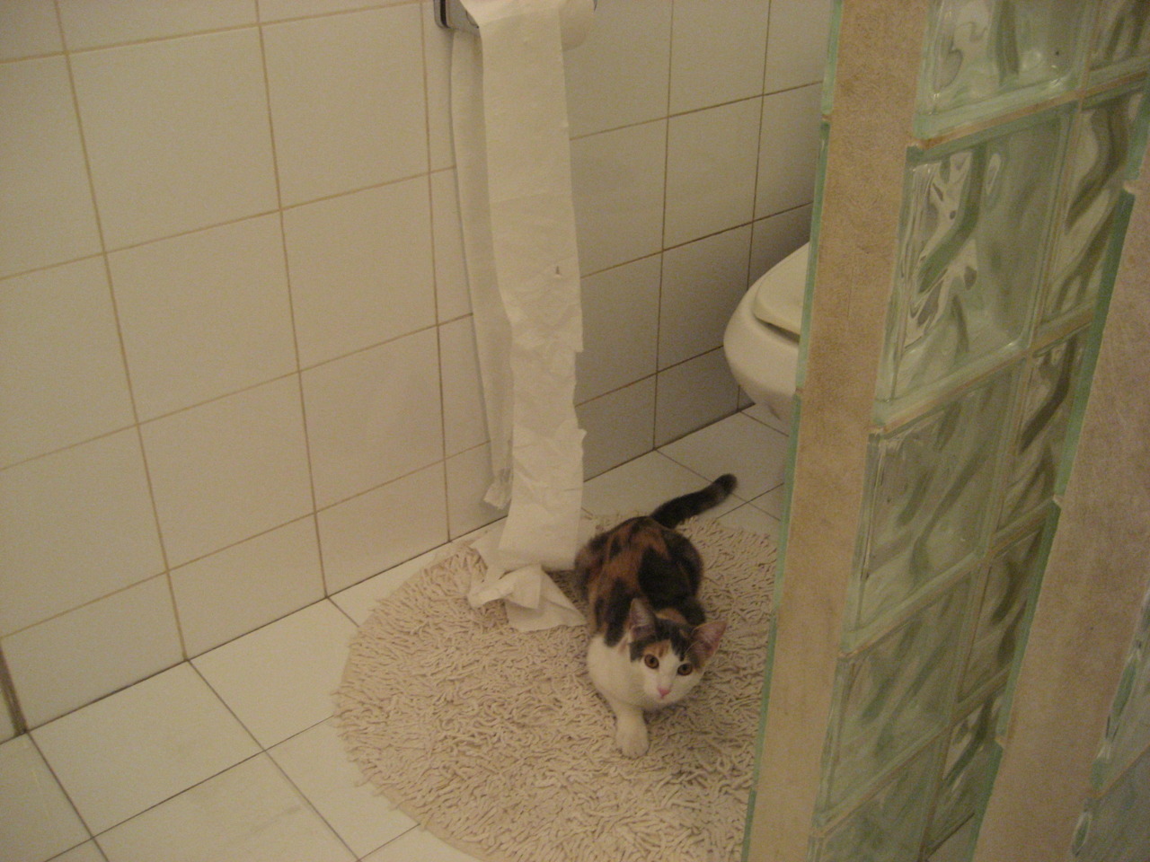 AYX SPORTS-杜兰特伤情恢复进展良好，杜兰特伤情恢复进展良好了吗