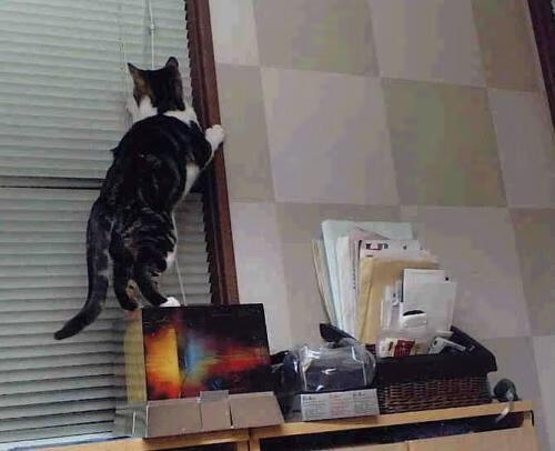 爱游戏体育官方网站-毕尔巴鄂竞技客场0-2不敌皇家贝蒂斯，遭遇失利，毕尔巴鄂对贝蒂斯历史战绩