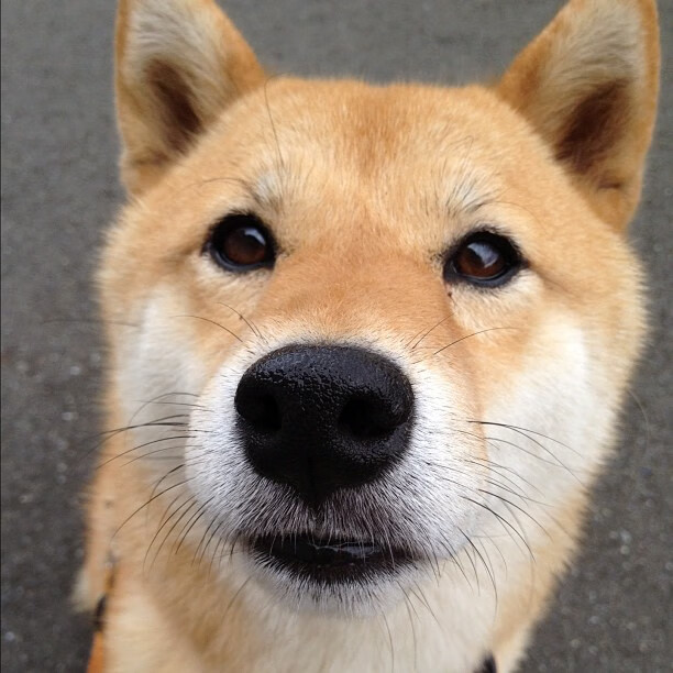 爱游戏电竞官网-电竞战队跨领域资源整合与商业变现模式创新，电竞行业的团队