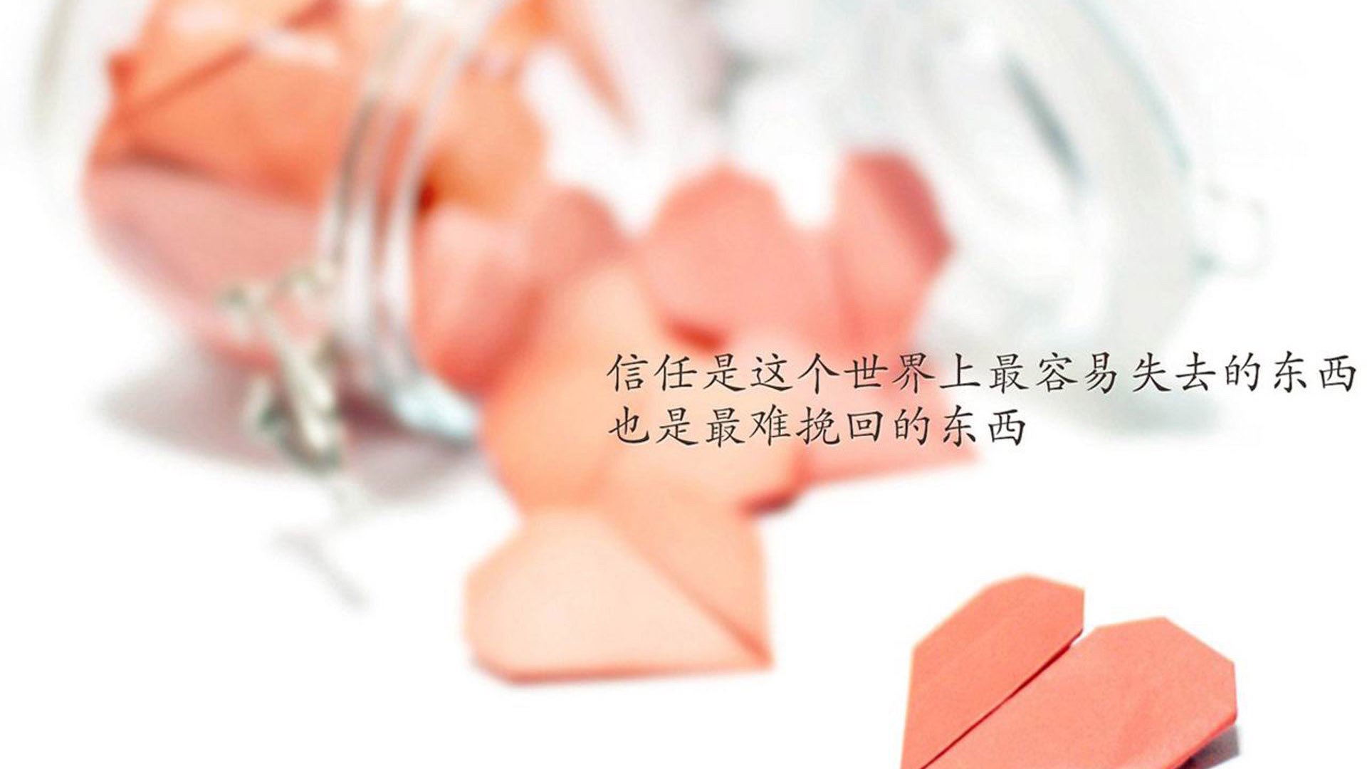 科隆签下意外新星,德甲劲旅增兵,德甲科隆球衣