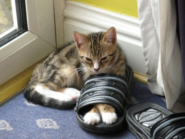 中国足球临门传中选择行为分析模型,足球选择txt