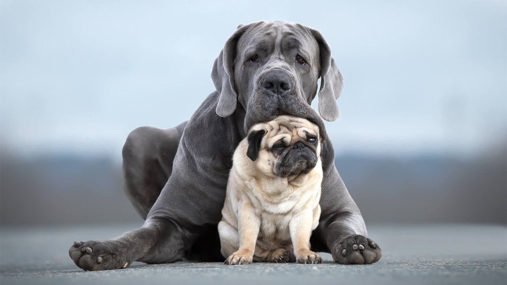 AYX体育-赛季必看：十大激烈焦点对决回顾，联赛焦点