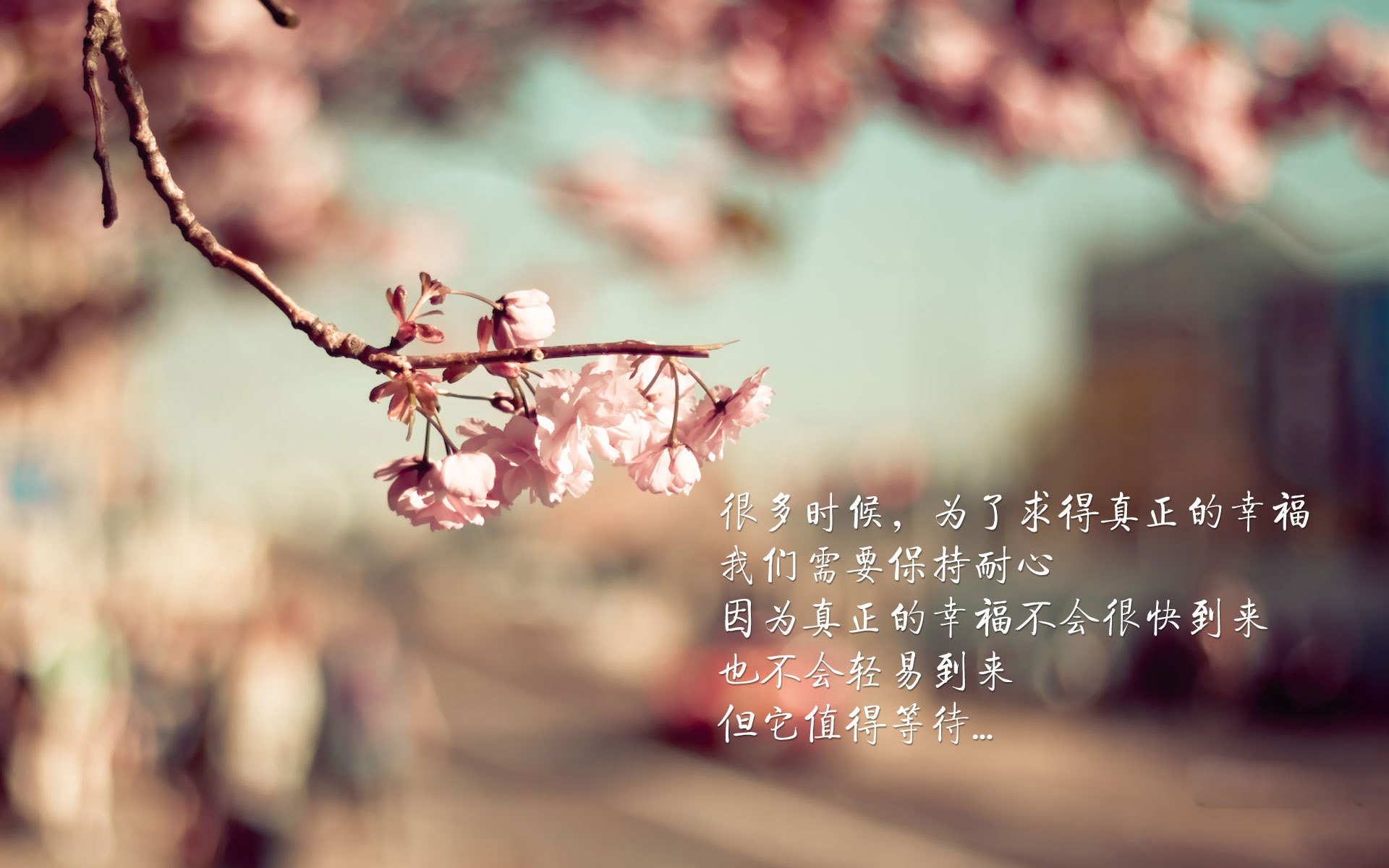 高校体育运动训练强度调控与效果研究,高校体育运动训练强度调控与效果研究论文