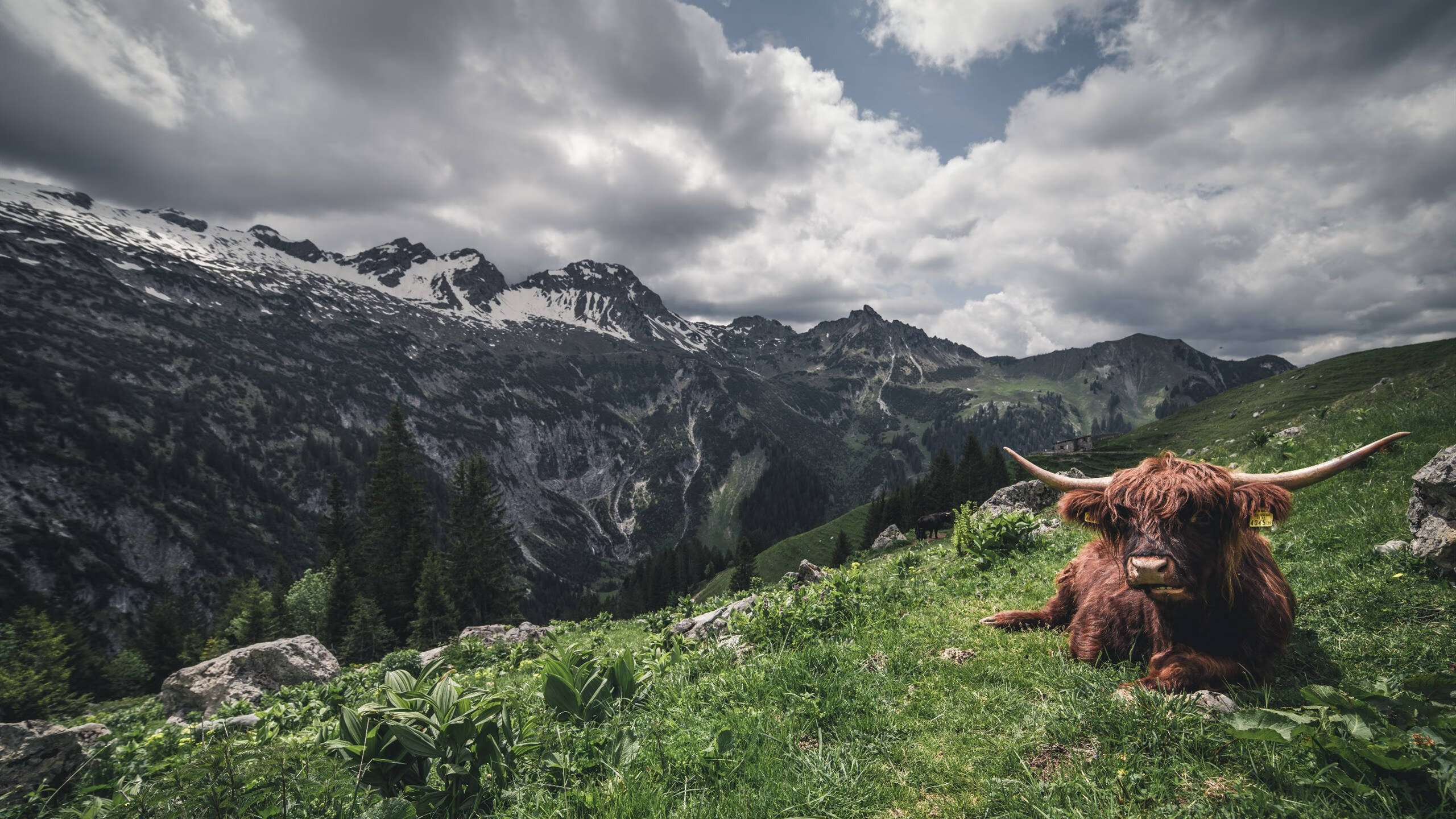 爱游戏官方-世界杯预选赛国足惨败 球迷呼吁全面改革，世界杯预选赛国足比赛