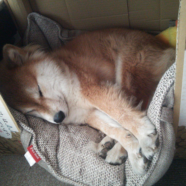 爱游戏娱乐平台-主力阵容节奏风格是否决定轮换体系设定，主力节奏指标源码