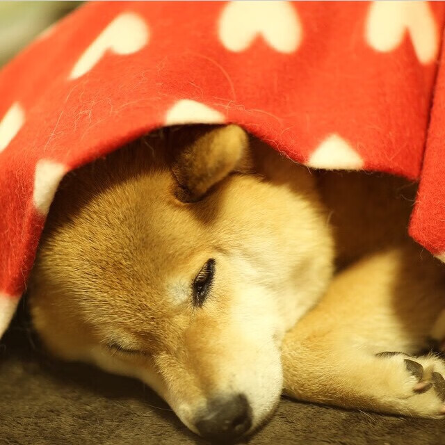 基层足球普及力度不足,足球普及率不高的原因