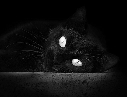 世界杯激战正酣:关键瞬间引爆全场!,世界 杯