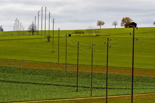 爱游戏体育-球员体能负荷评估工具上线助力教练科学制定训练计划，体育负荷强度