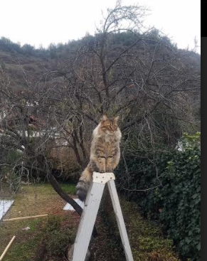 AIYOUXI.COM-篮球青训注重基础动作培养夯实发展根基，篮球青训课教学教案