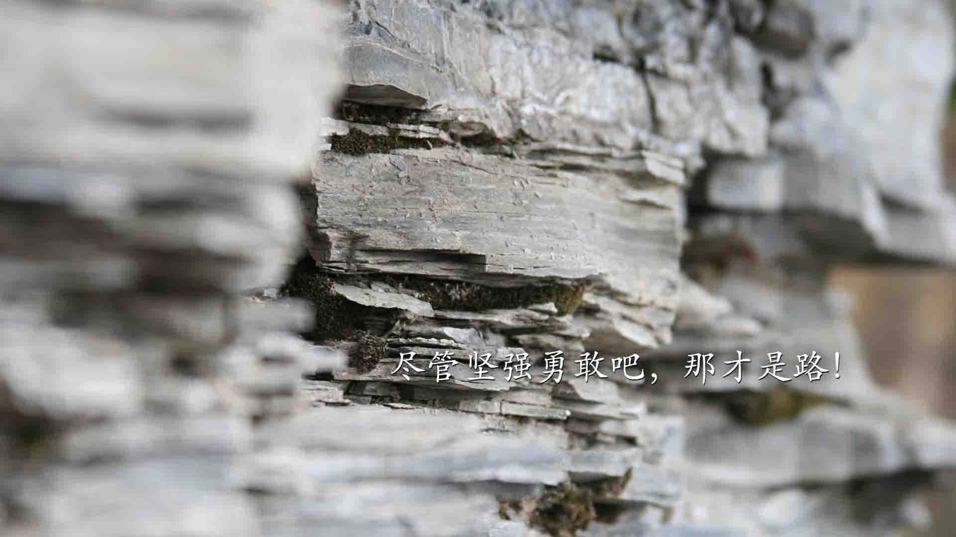 爱游戏体育app-美洲杯激情激战：攻防中创意无限，美洲杯完整视频