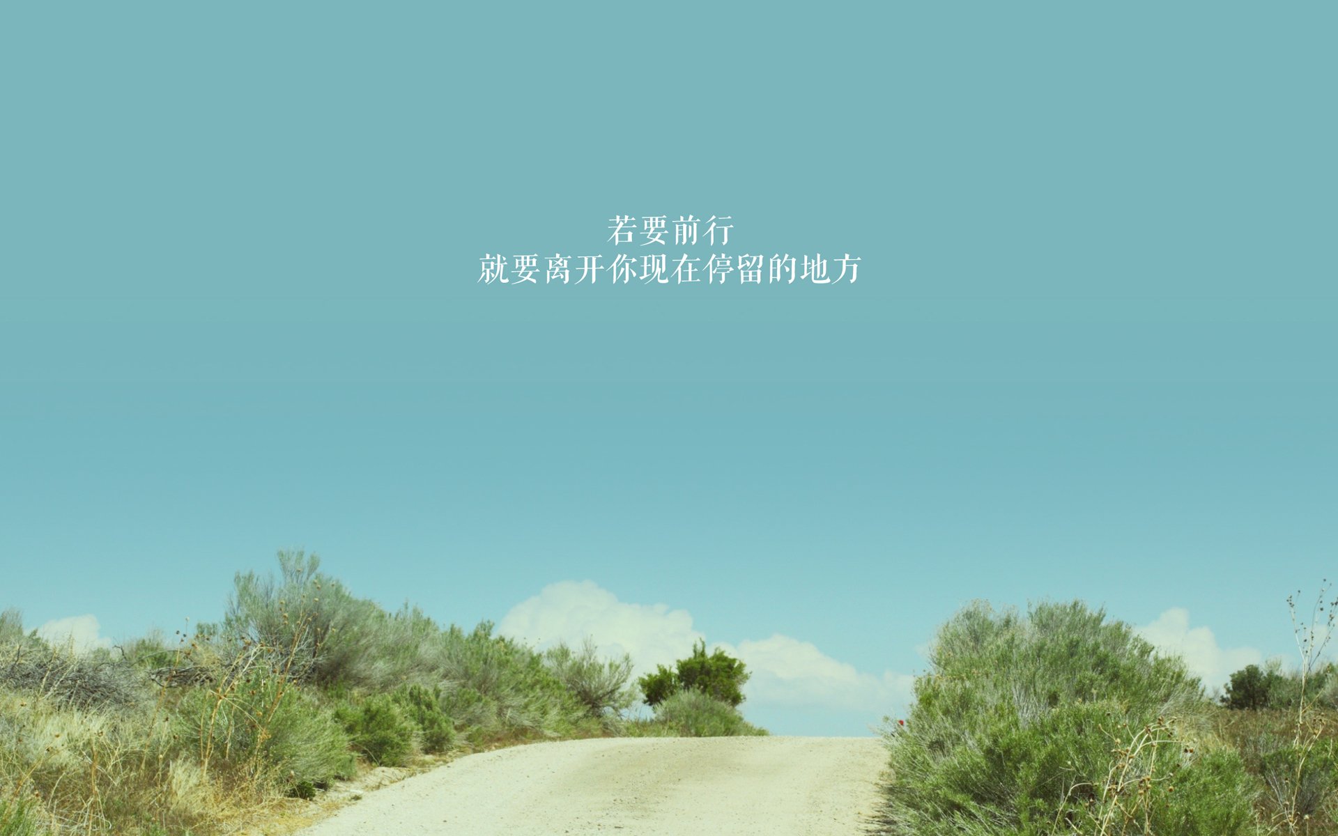 爱游戏app-美洲杯的比赛战术分析报告，美洲杯总结