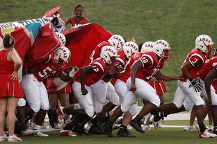 爱游戏 ayx 中国官方网站-全国城际定向越野赛青少年组吸引众多参赛者，全国定向越野锦标赛