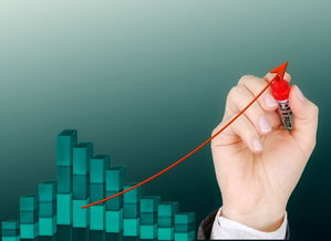 爱游戏-运动项目职业路径设计与发展研究，运动职业化